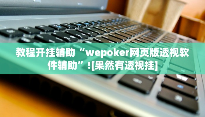 教程开挂辅助“wepoker网页版透视软件辅助”![果然有透视挂]