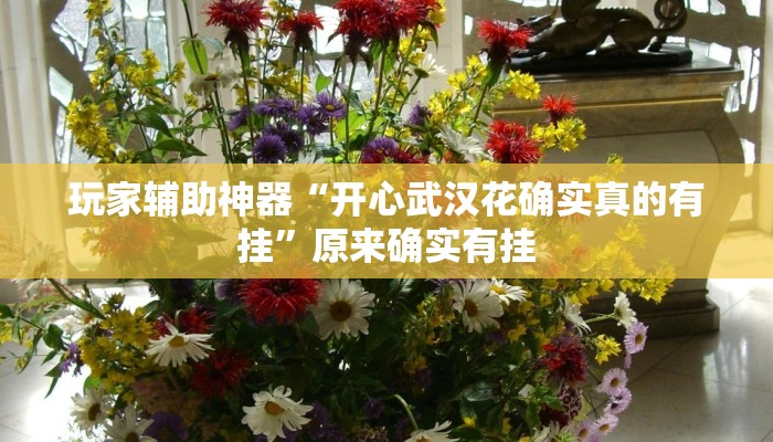玩家辅助神器“开心武汉花确实真的有挂”原来确实有挂 玩家辅助神器“开心武汉花确实真的有挂”原来确实有挂