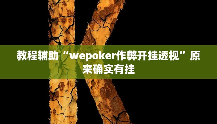 教程辅助“wepoker作弊开挂透视”原来确实有挂