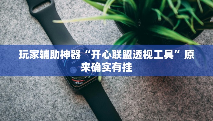 玩家辅助神器“开心联盟透视工具”原来确实有挂