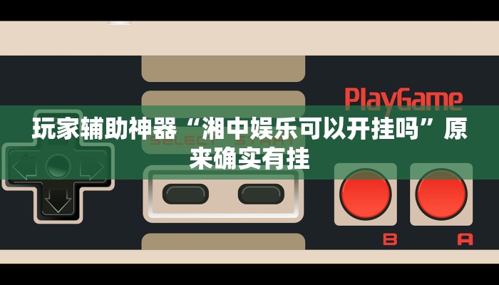 玩家辅助神器“湘中娱乐可以开挂吗”原来确实有挂