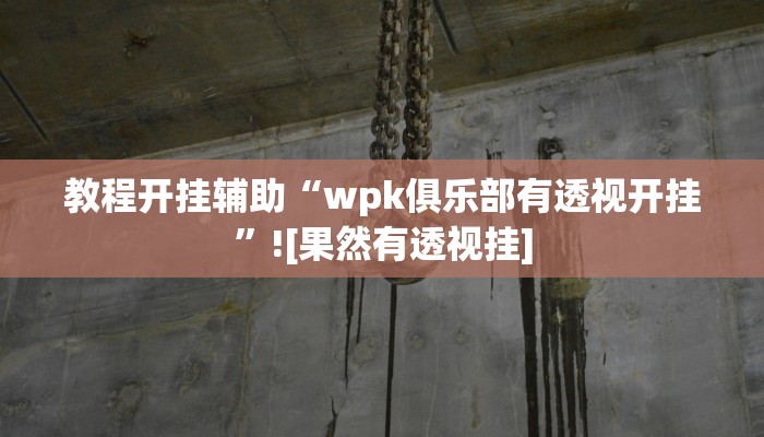 教程开挂辅助“wpk俱乐部有透视开挂”![果然有透视挂]