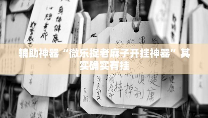 辅助神器“微乐捉老麻子开挂神器”其实确实有挂