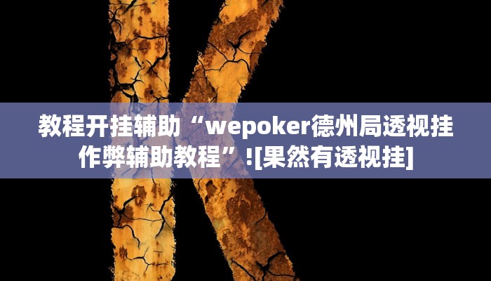 教程开挂辅助“wepoker德州局透视挂作弊辅助教程”![果然有透视挂]