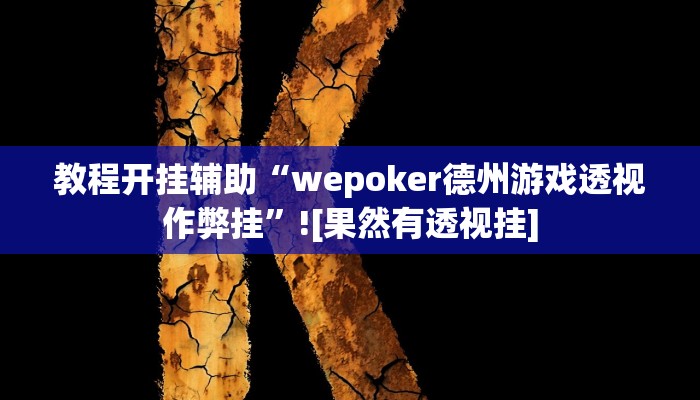 教程开挂辅助“wepoker德州游戏透视作弊挂”![果然有透视挂]
