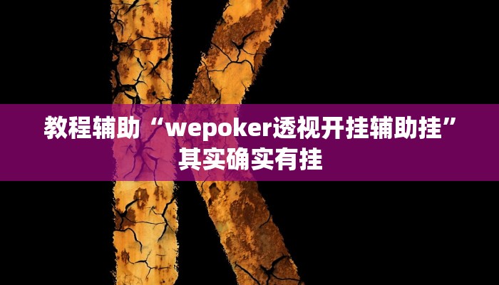 教程辅助“wepoker透视开挂辅助挂”其实确实有挂
