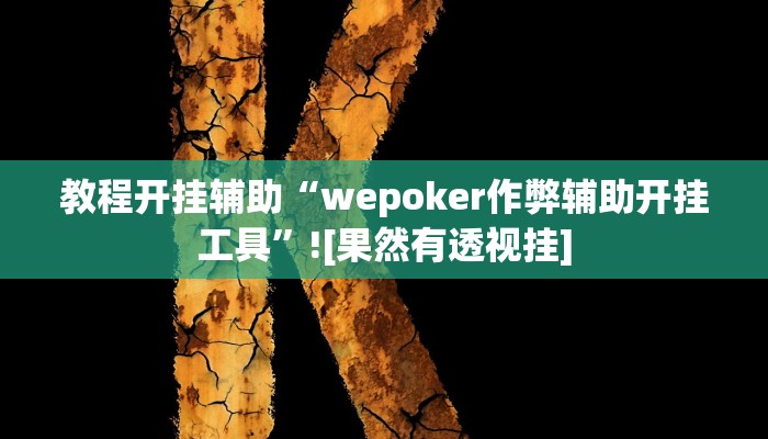 教程开挂辅助“wepoker作弊辅助开挂工具”![果然有透视挂]