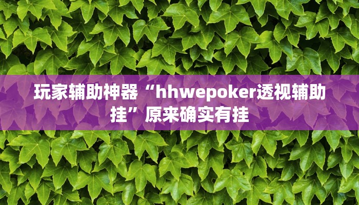 玩家辅助神器“hhwepoker透视辅助挂”原来确实有挂