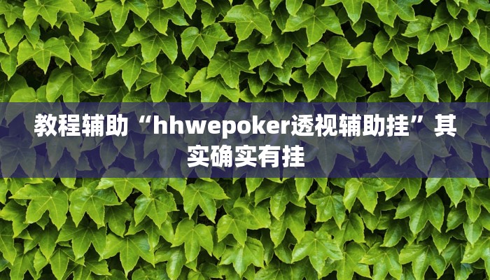 教程辅助“hhwepoker透视辅助挂”其实确实有挂
