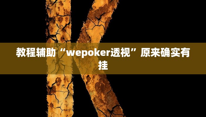 教程辅助“wepoker透视”原来确实有挂