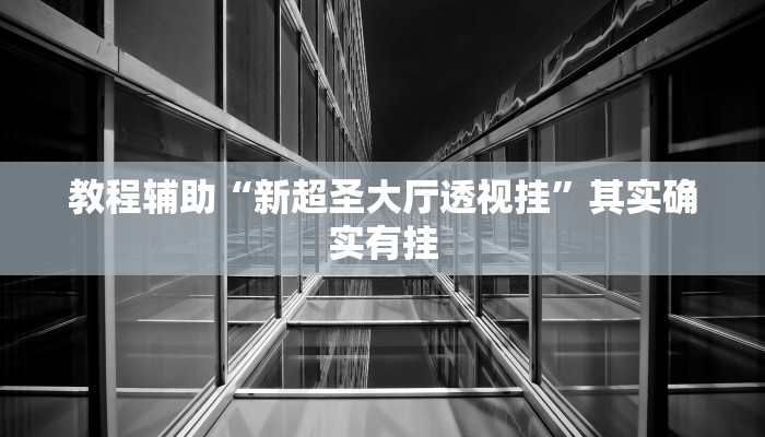 教程辅助“新超圣大厅透视挂”其实确实有挂