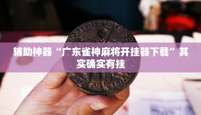 辅助神器“广东雀神麻将开挂器下载”其实确实有挂