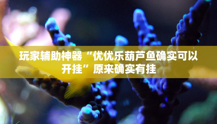 玩家辅助神器“优优乐葫芦鱼确实可以开挂”原来确实有挂