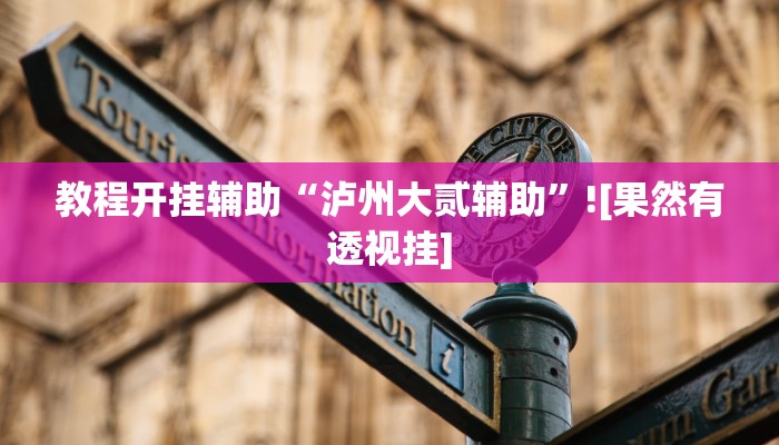 教程开挂辅助“泸州大贰辅助”![果然有透视挂]