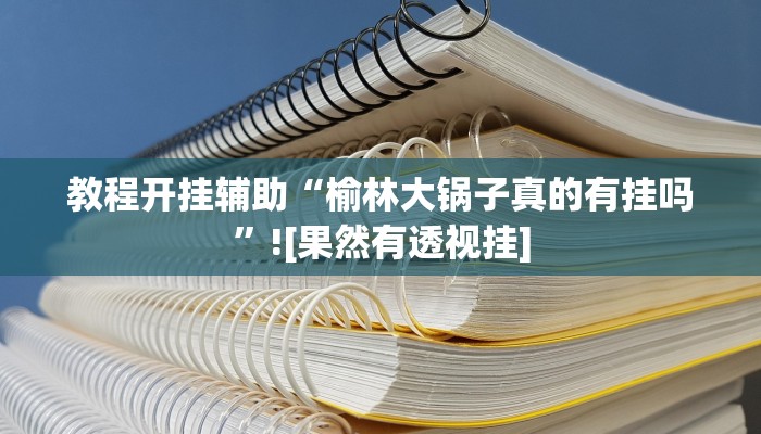 教程开挂辅助“榆林大锅子真的有挂吗”![果然有透视挂]