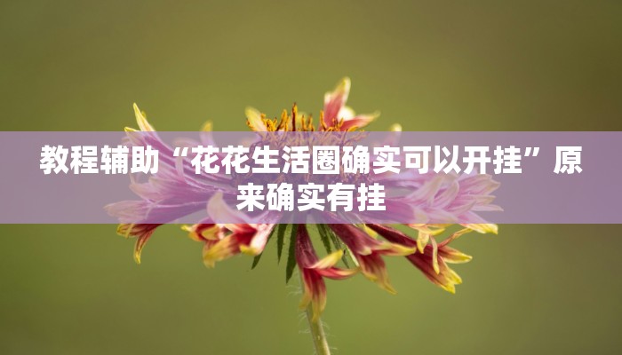 教程辅助“花花生活圈确实可以开挂”原来确实有挂
