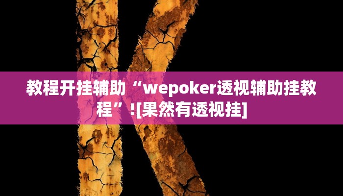 教程开挂辅助“wepoker透视辅助挂教程”![果然有透视挂]