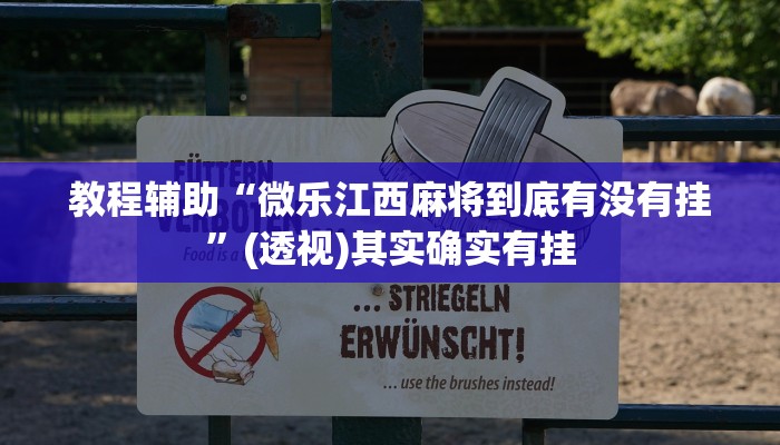 教程辅助“微乐江西麻将到底有没有挂”(透视)其实确实有挂