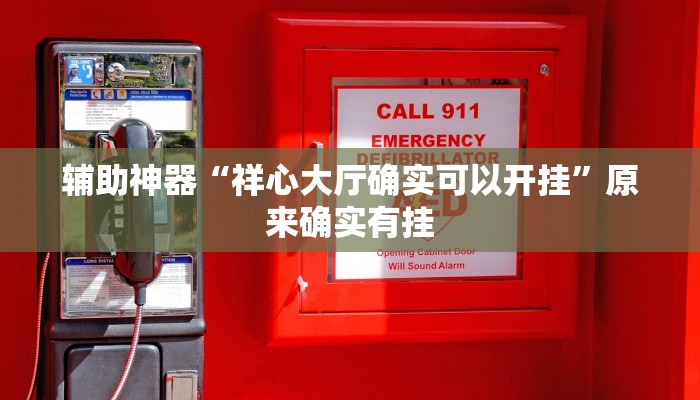 辅助神器“祥心大厅确实可以开挂”原来确实有挂