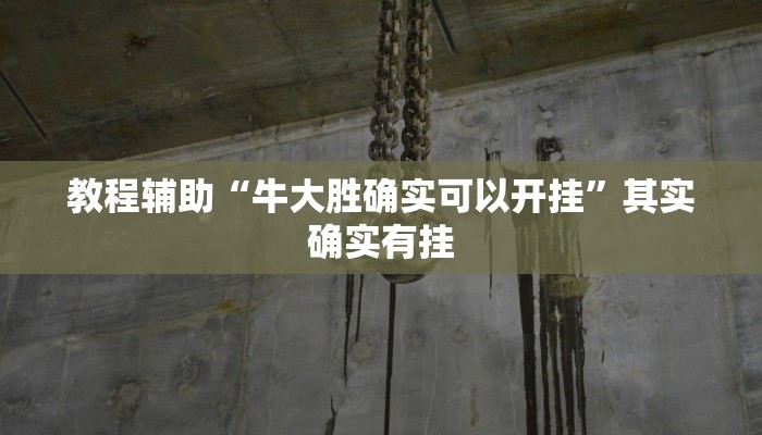 教程辅助“牛大胜确实可以开挂”其实确实有挂 教程辅助“牛大胜确实可以开挂”其实确实有挂