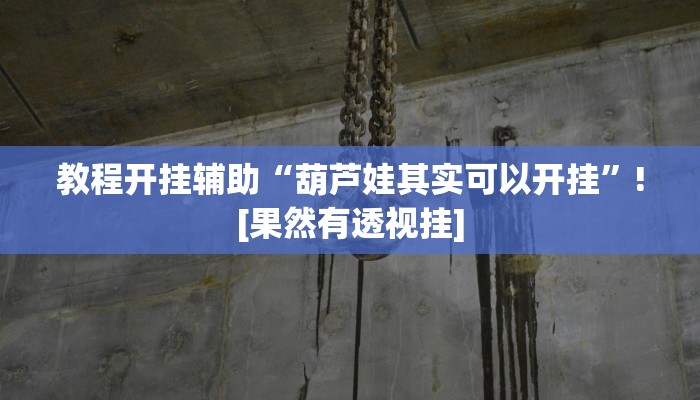 教程开挂辅助“葫芦娃其实可以开挂”![果然有透视挂]