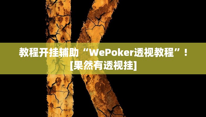 教程开挂辅助“WePoker透视教程”![果然有透视挂]