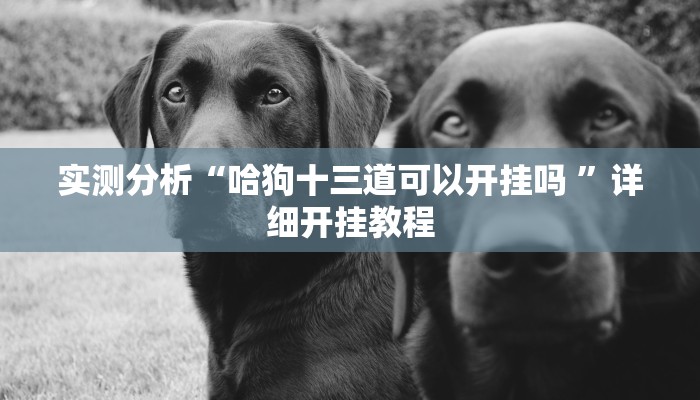 实测分析“哈狗十三道可以开挂吗 ”详细开挂教程